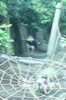 resIMG_20140810_113336_2978.JPG